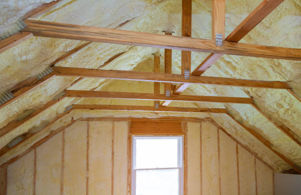 Best Specialized Insulation Services in Orlando, FL