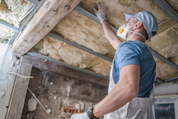Best DIY Insulation Kits and Guidance in Orlando, FL