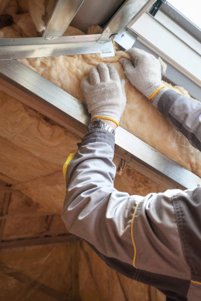 Best Residential Insulation in Orlando, FL